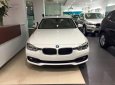 BMW 3 Series 320i 2017 - Bán ô tô BMW 3 Series 320i đời 2017, màu trắng, nhập khẩu chính hãng