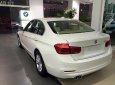 BMW 3 Series 320i 2017 - Bán ô tô BMW 3 Series 320i đời 2017, màu trắng, nhập khẩu chính hãng