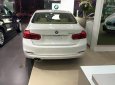 BMW 3 Series 320i 2017 - Bán ô tô BMW 3 Series 320i đời 2017, màu trắng, nhập khẩu chính hãng