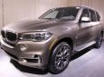 BMW X5 xDrive35i 2017 - Bán ô tô BMW X5 xDrive35i 2017, màu bạc