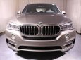 BMW X5 xDrive35i 2017 - Bán ô tô BMW X5 xDrive35i 2017, màu bạc