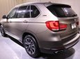 BMW X5 xDrive35i 2017 - Bán ô tô BMW X5 xDrive35i 2017, màu bạc