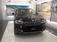 BMW X5 xDrive35i 2017 - Bán xe BMW X5 xDrive35i 2017, màu đen