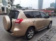 Toyota RAV4 2.5AT 2010 - Bán Toyota RAV4 2.5AT đời 2010, màu vàng, nhập khẩu chính hãng