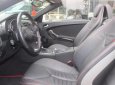 Mercedes-Benz SLK class SLK200 2010 - Bán xe Mercedes 200 1.8 L năm 2010, màu trắng, nhập khẩu nguyên chiếc