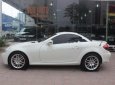 Mercedes-Benz SLK class SLK200 2010 - Bán xe Mercedes 200 1.8 L năm 2010, màu trắng, nhập khẩu nguyên chiếc