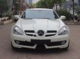 Mercedes-Benz SLK class SLK200 2010 - Bán xe Mercedes 200 1.8 L năm 2010, màu trắng, nhập khẩu nguyên chiếc