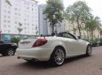 Mercedes-Benz SLK class SLK200 2010 - Bán xe Mercedes 200 1.8 L năm 2010, màu trắng, nhập khẩu nguyên chiếc