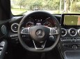 Mercedes-Benz C300 AMG 2016 - Bán ô tô Mercedes C300 AMG năm 2016, màu đen chính hãng