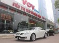 Mercedes-Benz SLK class SLK200 2010 - Bán xe Mercedes 200 1.8 L năm 2010, màu trắng, nhập khẩu nguyên chiếc