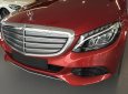 Mercedes-Benz C250 E 2017 - Bán xe Mercedes E 2017, màu đỏ, nhập khẩu chính hãng