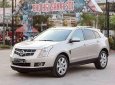 Cadillac SRX 4 2009 - Bán ô tô Cadillac SRX 4 đời 2009, màu bạc, nhập khẩu nguyên chiếc