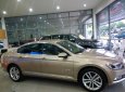 Volkswagen Passat CC 2016 - The New Passat - Volkswagen đến từ Đức - hỗ trợ trả góp ưu đãi lên đến 7 năm