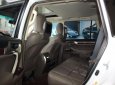 Lexus GX460   2011 - Bán xe cũ Lexus GX460 sản xuất 2011, màu trắng, xe nhập