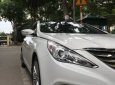 Hyundai Sonata Y20 2010 - Cần bán xe Sonata Y20 đời 2010, màu trắng, nhập khẩu chính hãng