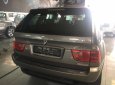 BMW X5 2004 - Bán ô tô BMW X5 đời 2004, màu ghi vàng  