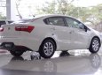 Kia Rio MT 2017 - Bán xe Kia Rio 2017, nhập khẩu, nhiều quà tặng, giá cực ưu đãi, trả góp hỗ trợ 70%