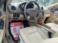 Mercedes-Benz GL 450 2008 - Bán Mercedes 450 đời 2008, màu đen, nhập khẩu