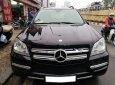 Mercedes-Benz GL 450 2010 - Cần bán gấp Mercedes 450 năm 2010, màu đen, xe nhập