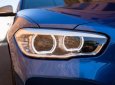BMW 1 Series 118i 2017 - Bán xe BMW 118i đời 2017, màu xanh, xe nhập, ưu đãi cực sốc, có xe giao ngay