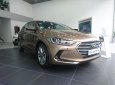 Hyundai Elantra 1.6 MT 2017 - Cần bán Hyundai Elantra 2017 giá tốt, hỗ trợ vay vốn 100%, liên hệ: 01887177000 Ninh Thuận