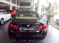 BMW 5 Series 520i 2016 - BMW Đà Nẵng bán xe BMW 5 Series 520i đời 2016, màu đen, nhập khẩu chính hãng, mới 100%