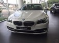 BMW 5 Series 520i 2016 - BMW Đà Nẵng bán xe BMW 5 Series 520i sản xuất 2016, màu trắng, nhập khẩu nguyên chiếc