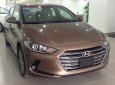 Hyundai Elantra 1.6 MT 2017 - Cần bán Hyundai Elantra 2017 giá tốt, hỗ trợ vay vốn 100%, liên hệ: 01887177000 Ninh Thuận