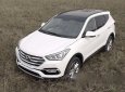 Hyundai Santa Fe 2017 - Bán xe Hyundai Santa Fe sản xuất 2017