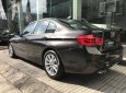 BMW 3 Series 320i 2017 - Bán BMW 3 Series 320i, màu nâu (Jatoba), nhập khẩu nguyên chiếc. Cam kết giá rẻ nhất toàn quốc, có xe giao ngay