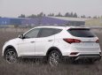 Hyundai Santa Fe 2017 - Bán xe Hyundai Santa Fe sản xuất 2017