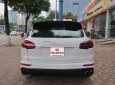 Porsche Cayenne S S 2014 - Cần bán xe Porsche Cayenne S sản xuất 2014, màu trắng, nhập khẩu Đức, đăng kí năm 2015