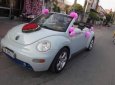 Volkswagen Beetle 2007 - Bán xe Volkswagen Beetle đời 2007, màu trắng số tự động