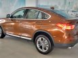 BMW X4 xDrive20i 2016 - BWM X4 màu nâu cánh gián - xDrive20i giao ngay tại Đà Nẵng