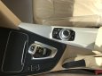 BMW 3 Series 320i 2017 - Bán BMW 3 Series 320i, màu nâu (Jatoba), nhập khẩu nguyên chiếc. Cam kết giá rẻ nhất toàn quốc, có xe giao ngay