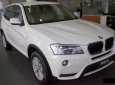 BMW X3 xDrive20i 2017 - Bán BMW X3 xDrive20i đời 2017, màu trắng, xe nhập chính hãng, giá tốt nhất tại Đắk Lắk