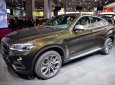 BMW X6 xDrive35i 2016 - Bán ô tô BMW X6 xDrive35i phiên bản 2017, nhập khẩu, màu Sparkling Storm, giá ưu đãi, giao xe sớm