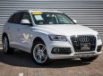 Audi Q5 Premium Plus 2015 - Bán Audi Q5 Premium Plus đời 2015, màu trắng, nhập khẩu nguyên chiếc