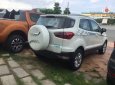 Ford EcoSport     2017 - Cần bán Ford EcoSport năm 2017 giá cạnh tranh