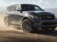 Infiniti QX80 2017 - Bán ô tô Infiniti QX80 năm 2017, màu đen, nhập khẩu nguyên chiếc