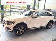 Mercedes-Benz Smart GLC 250 4 Matic 2017 - Bán xe Mercedes GLC 250 4 Matic đời 2017, màu trắng, khuyến mãi hấp dẫn