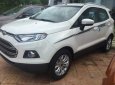 Ford EcoSport     2017 - Cần bán Ford EcoSport năm 2017 giá cạnh tranh