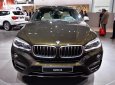 BMW X6 xDrive35i 2016 - Bán ô tô BMW X6 xDrive35i phiên bản 2017, nhập khẩu, màu Sparkling Storm, giá ưu đãi, giao xe sớm