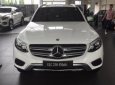 Chrysler 300 2017 - Mercedes GLC 250 - GLC 300 giao ngay, giá tốt nhất miền nam tại Mercedes Trường Chinh