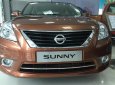 Nissan Sunny XV-SE 2017 - Cần bán Nissan Sunny XV-SE năm 2017, màu nâu giá cạnh tranh