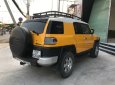 Toyota Fj cruiser 2007 - Bán Toyota Fj cruiser đời 2007, màu vàng, nhập khẩu nguyên chiếc