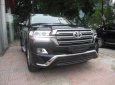 Toyota Land Cruiser GXR V6 2017 - Bán xe Toyota Land Cruiser GXR 2017, giá không thể tốt hơn