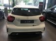 Mercedes-Benz A class A250 2016 - Bán ô tô Mercedes A 250 đời 2016, màu trắng