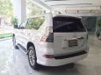 Lexus GX460  4.6L AT 2017 - Bán xe Lexus GX460 4.6L AT đời 2017, màu trắng