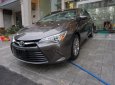 Toyota Camry XLE 2015 - Cần bán Toyota Camry XLE đời 2015, màu xám bạc, nhập khẩu